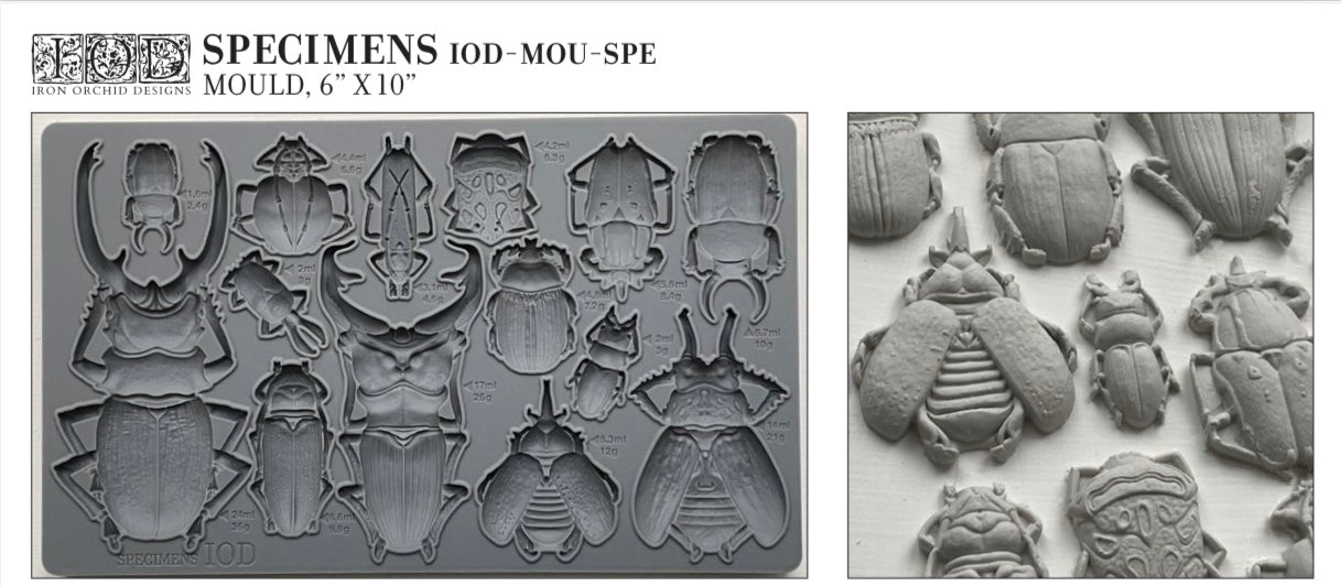Specimens IOD Moulds image 0