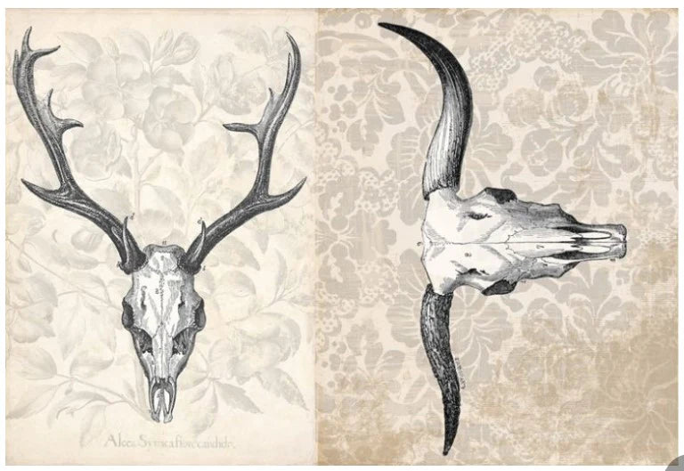 Antlers Project - Roycycled Decoupage image 0