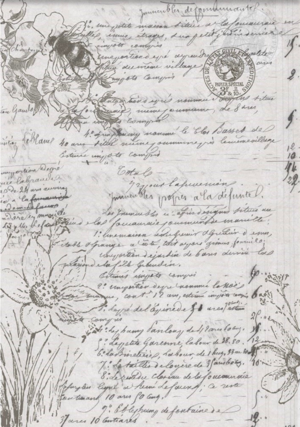 Natural history - Roycycled Decoupage image 0