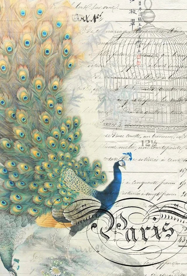 Peacock Ephemera - Roycycled Decoupage image 0