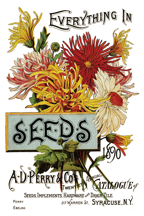 Seed Catalogue - IOD Decor Transfer