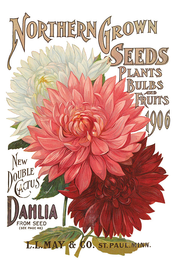 Seed Catalogue - IOD Decor Transfer