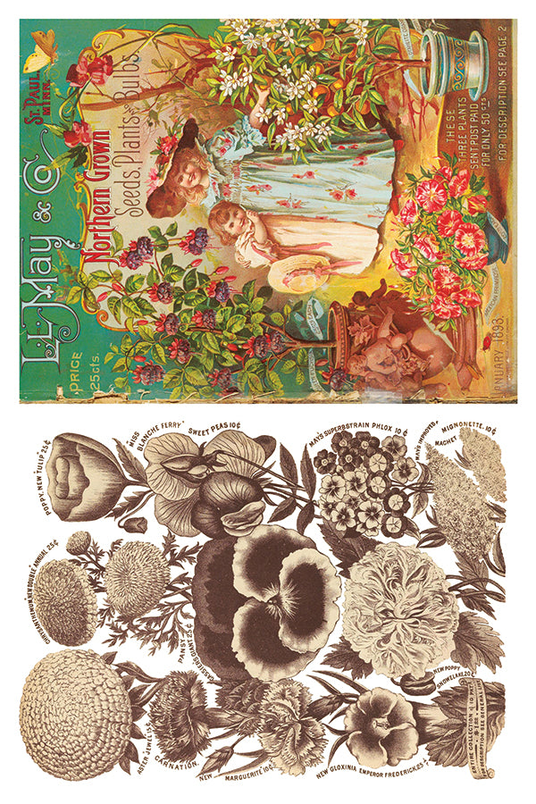Seed Catalogue - IOD Decor Transfer