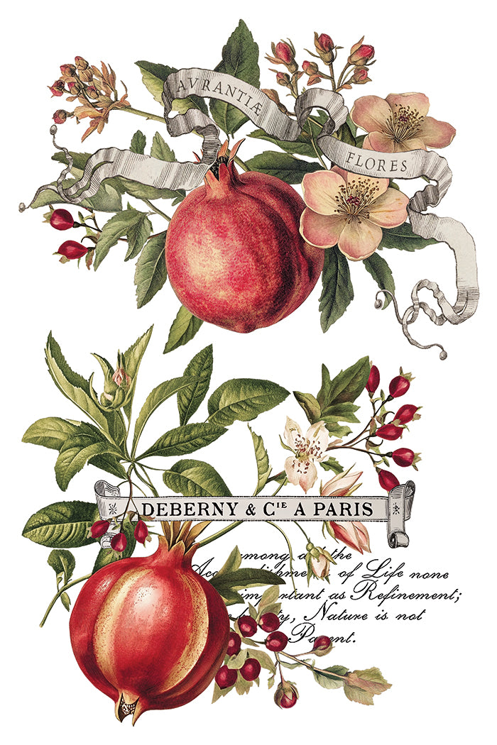 Clementine IOD Transfer - IOD Qtr 3 (Limited Edition Holiday)