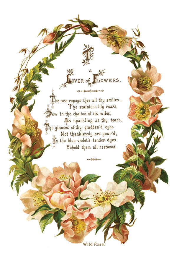 Lover of Flowers - IOD Decor Transfer