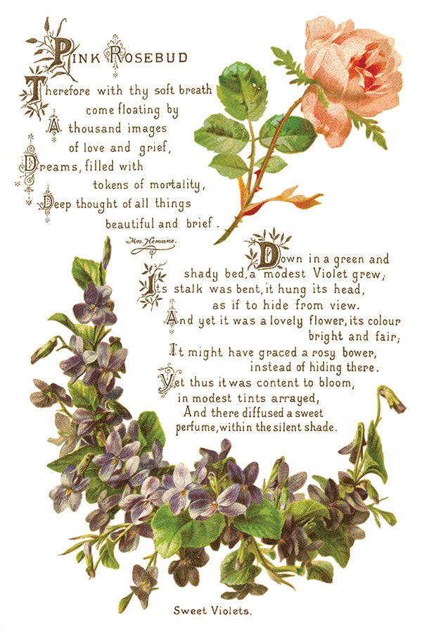 Lover of Flowers - IOD Decor Transfer