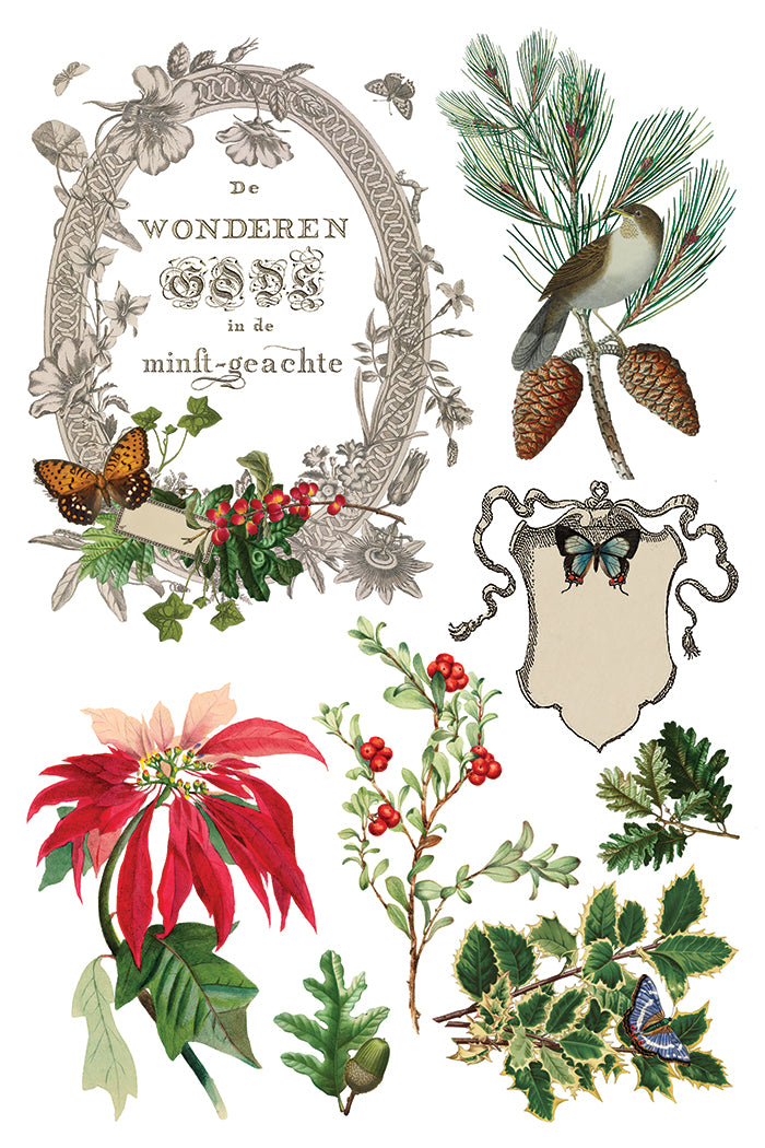 Winter Botanist IOD Transfer - IOD Qtr 3 (Limited Edition Holiday)