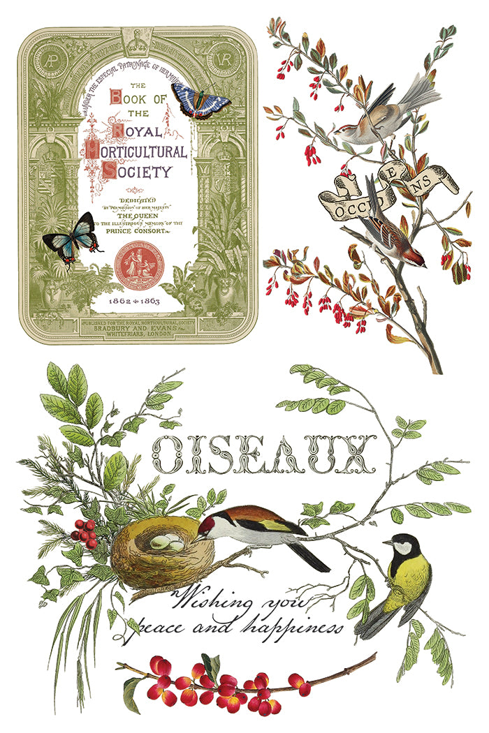 Winter Botanist IOD Transfer - IOD Qtr 3 (Limited Edition Holiday)