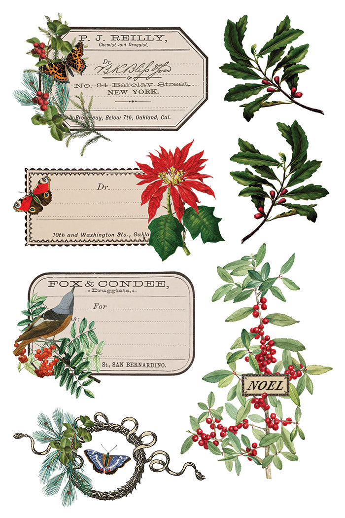 Winter Botanist IOD Transfer - IOD Qtr 3 (Limited Edition Holiday)