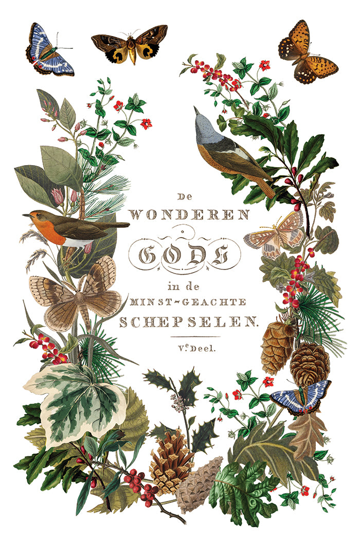 Winter Botanist IOD Transfer - IOD Qtr 3 (Limited Edition Holiday)