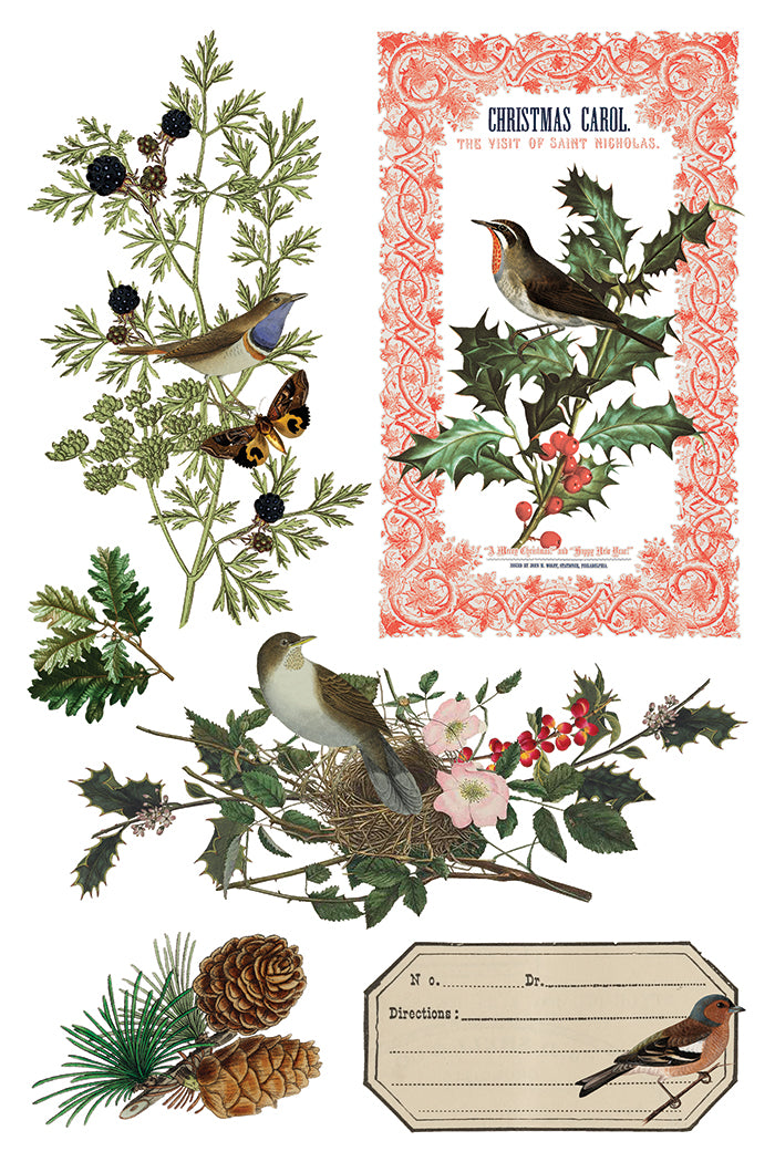 Winter Botanist IOD Transfer - IOD Qtr 3 (Limited Edition Holiday)