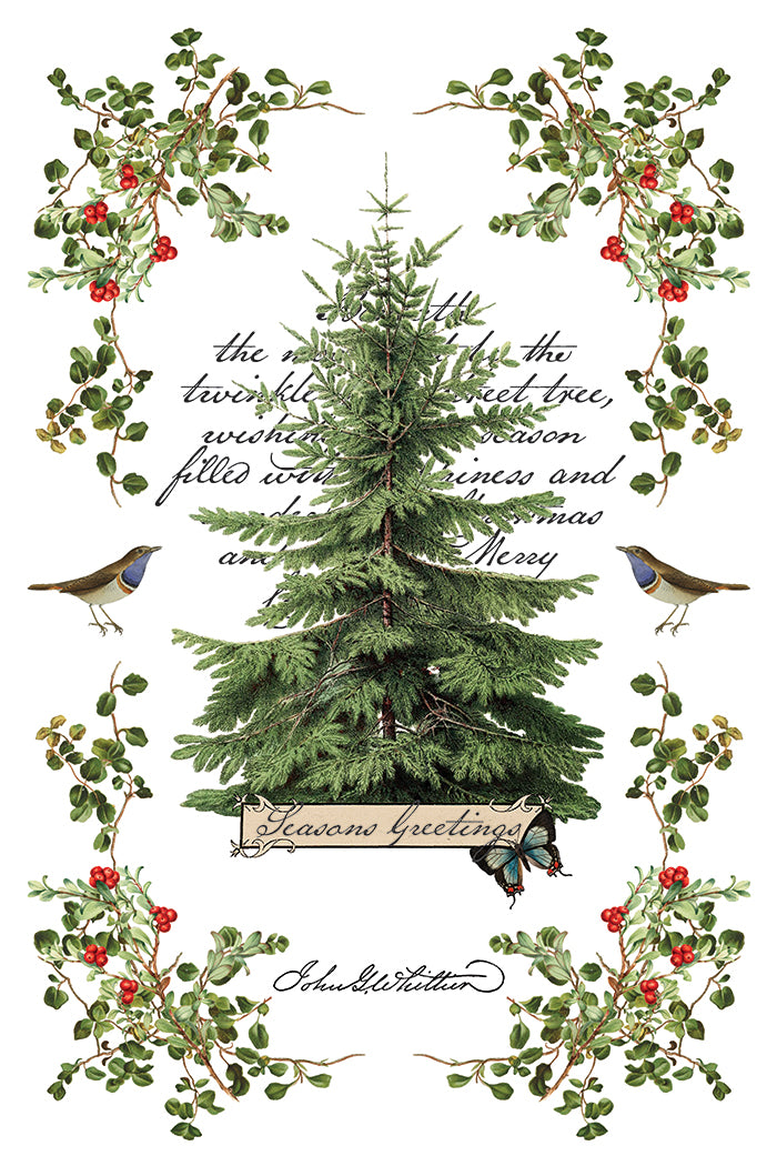 Winter Botanist IOD Transfer - IOD Qtr 3 (Limited Edition Holiday)