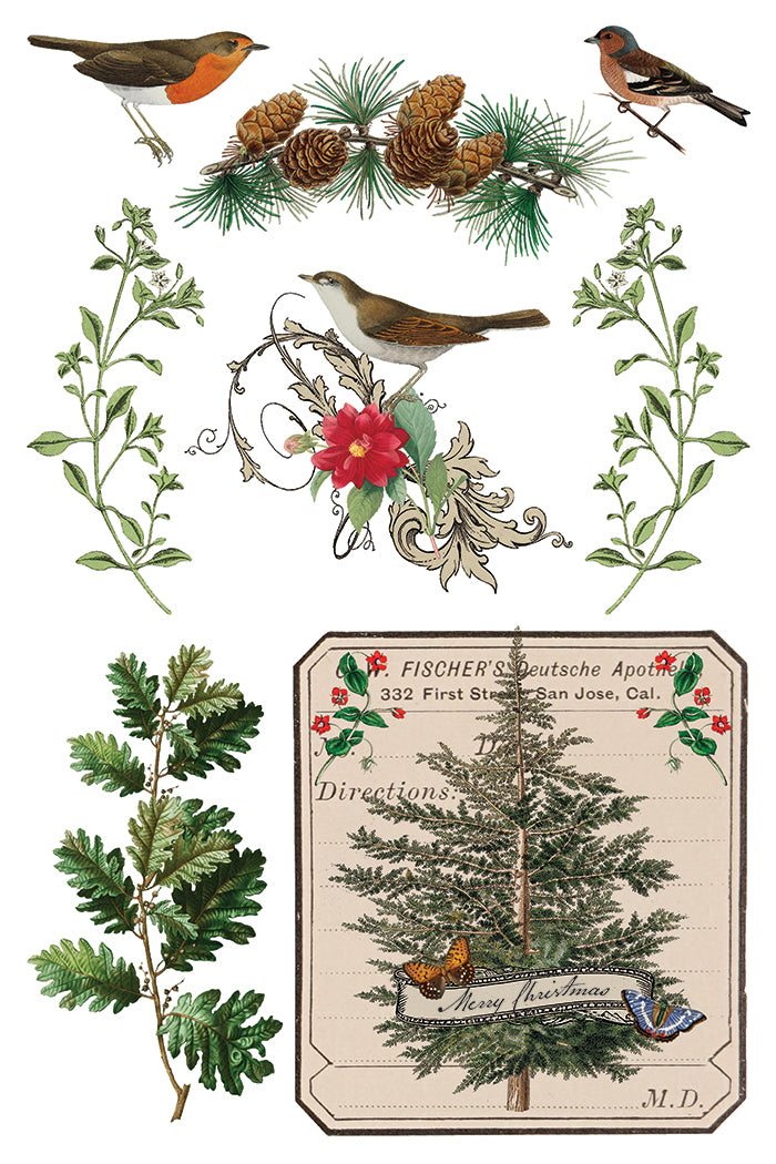 Winter Botanist IOD Transfer - IOD Qtr 3 (Limited Edition Holiday)