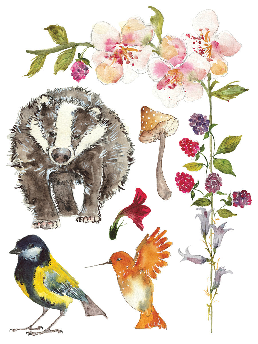 Whispering Willow - IOD Decor Transfer