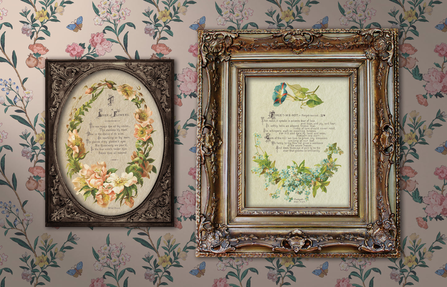Lover of Flowers - IOD Decor Transfer