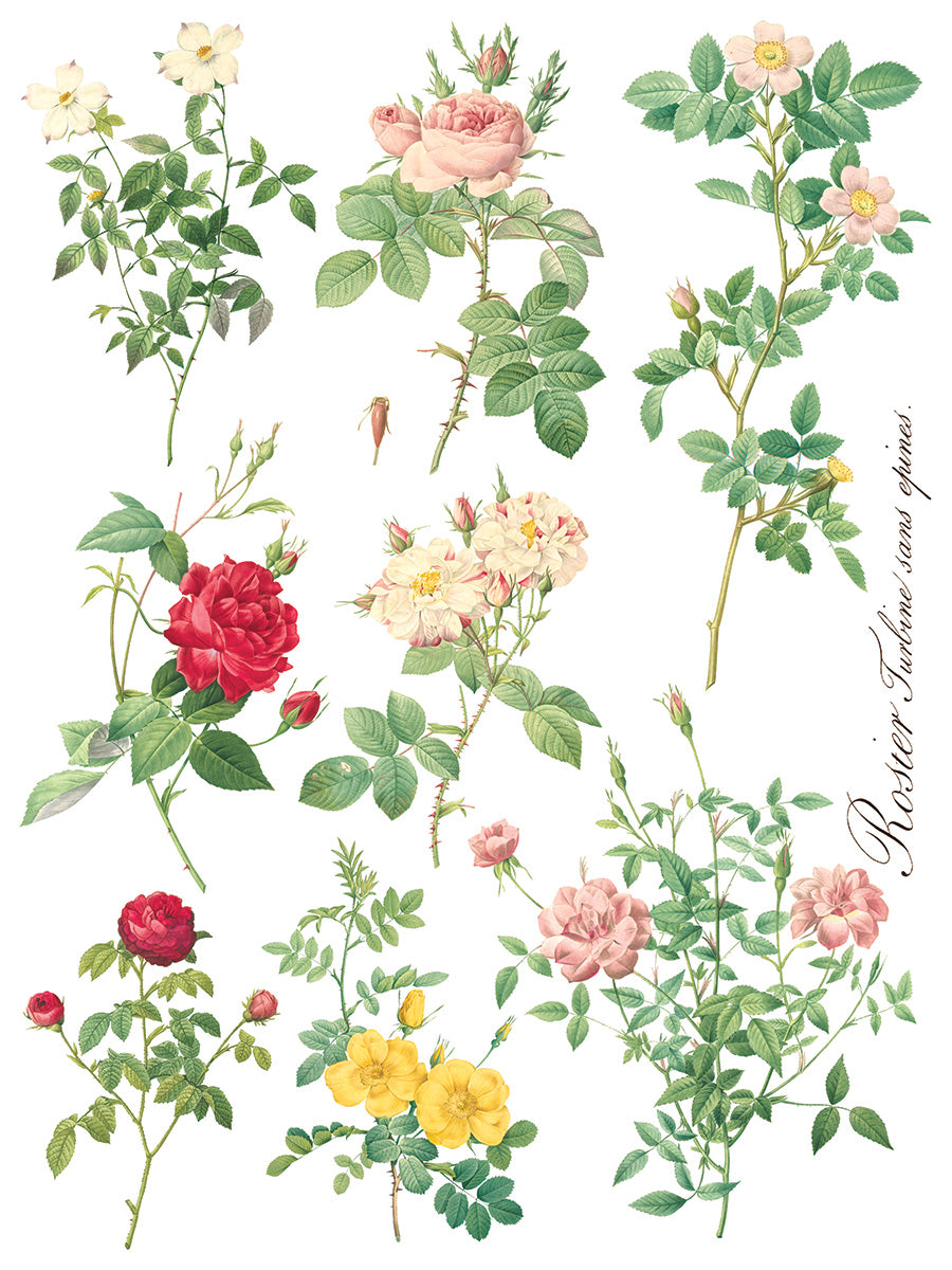 Rose Botanical - IOD Decor Transfer