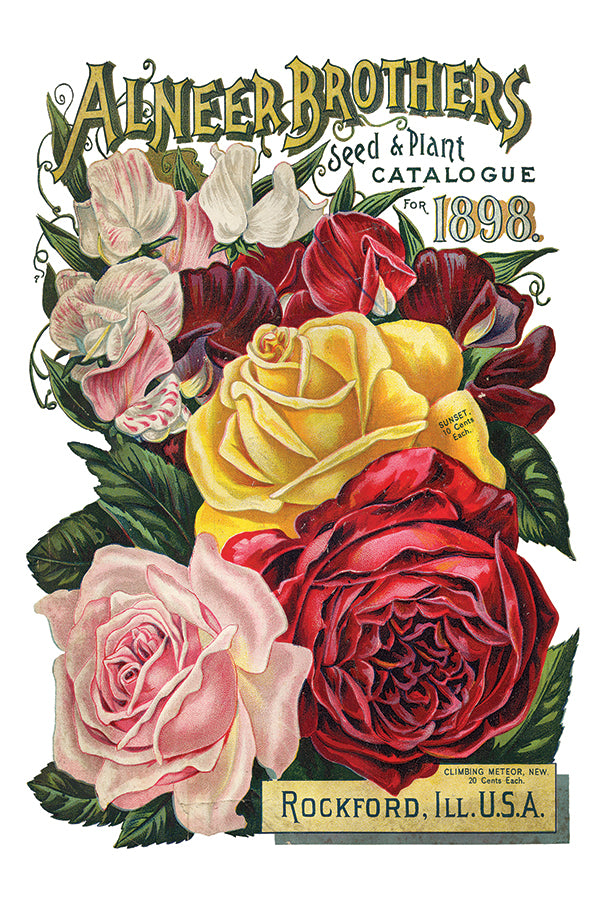 Seed Catalogue - IOD Decor Transfer