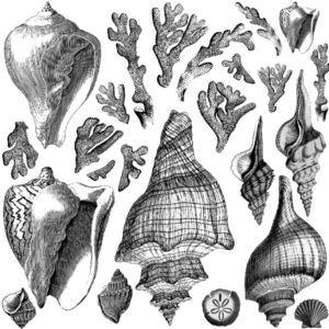 Seashore Stamps (set of 2)