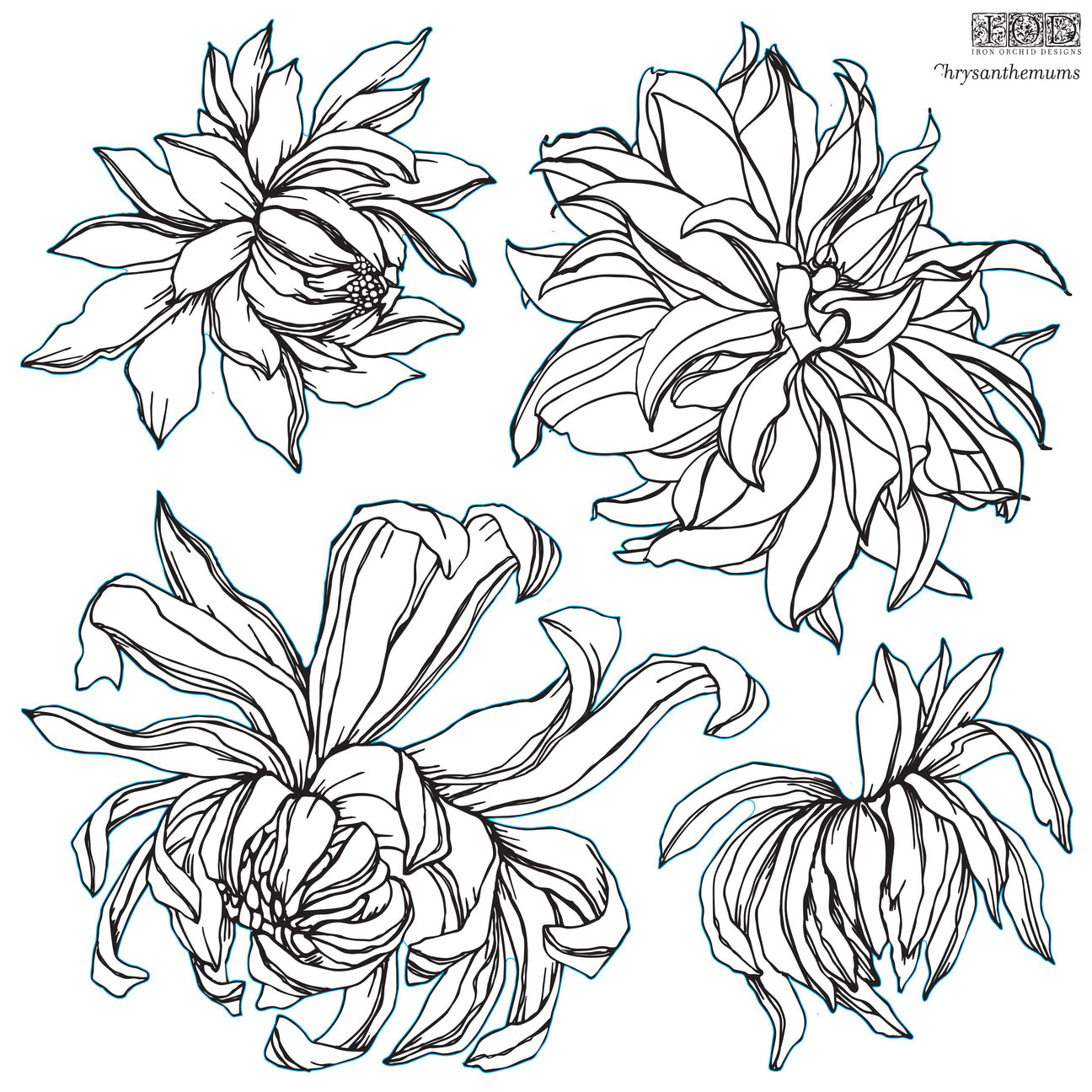Chrysanthemums Stamps (set of 2)