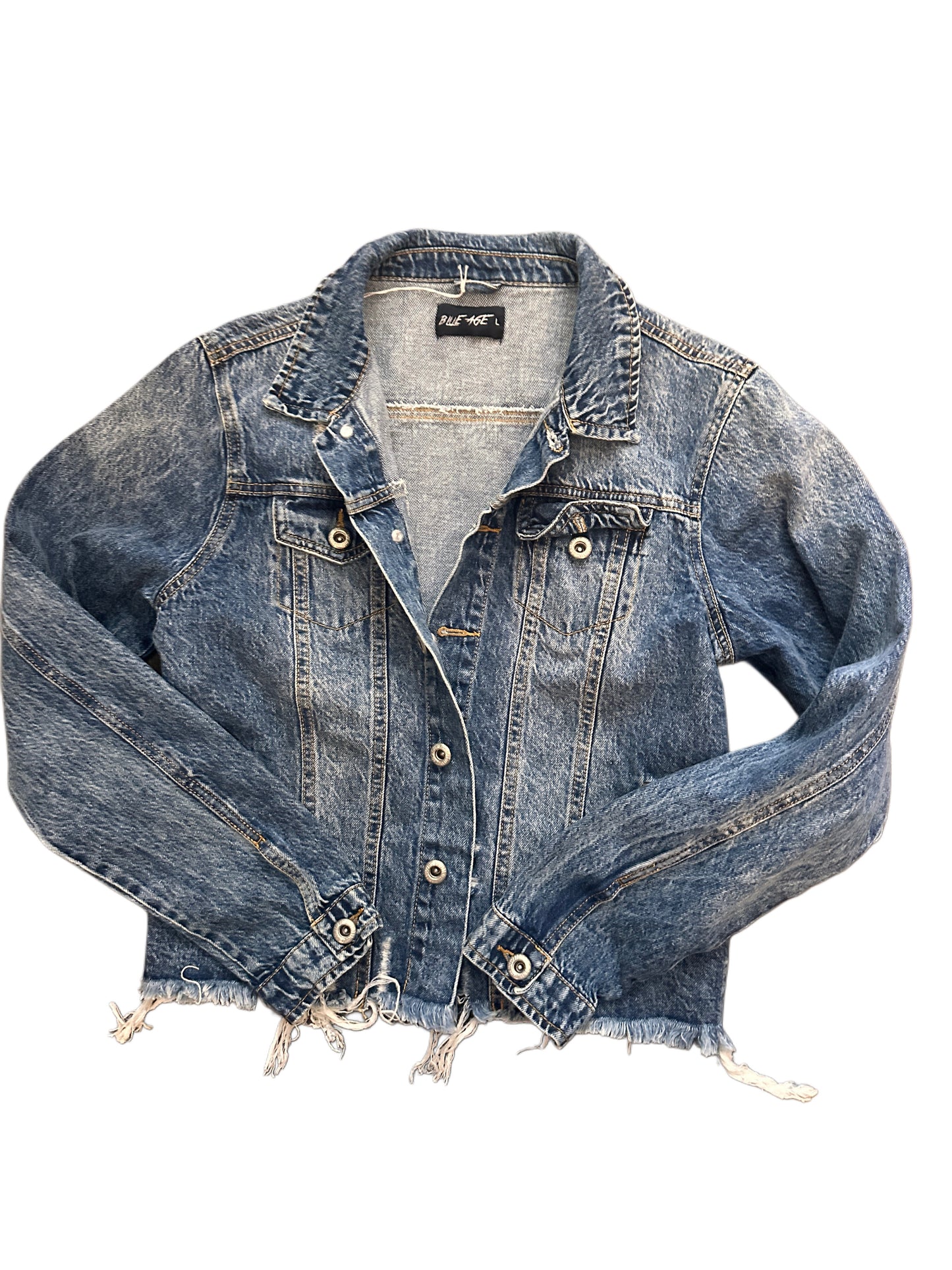 Hand Painted Jean Jacket (L)