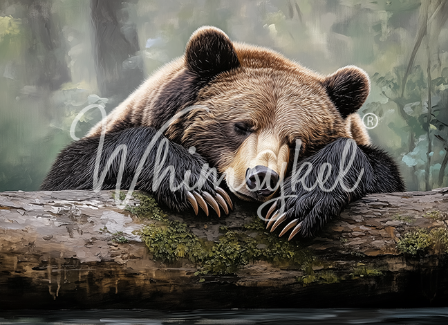 Tuckered Teddy - Whimsykel Paper
