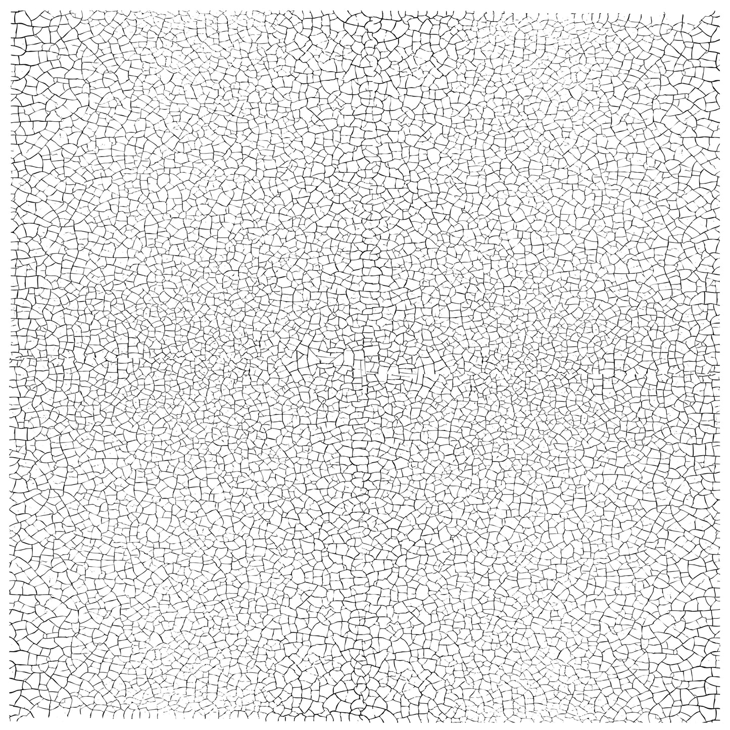 Craquelure Decor Stamp 12 x 12 (Clearance)