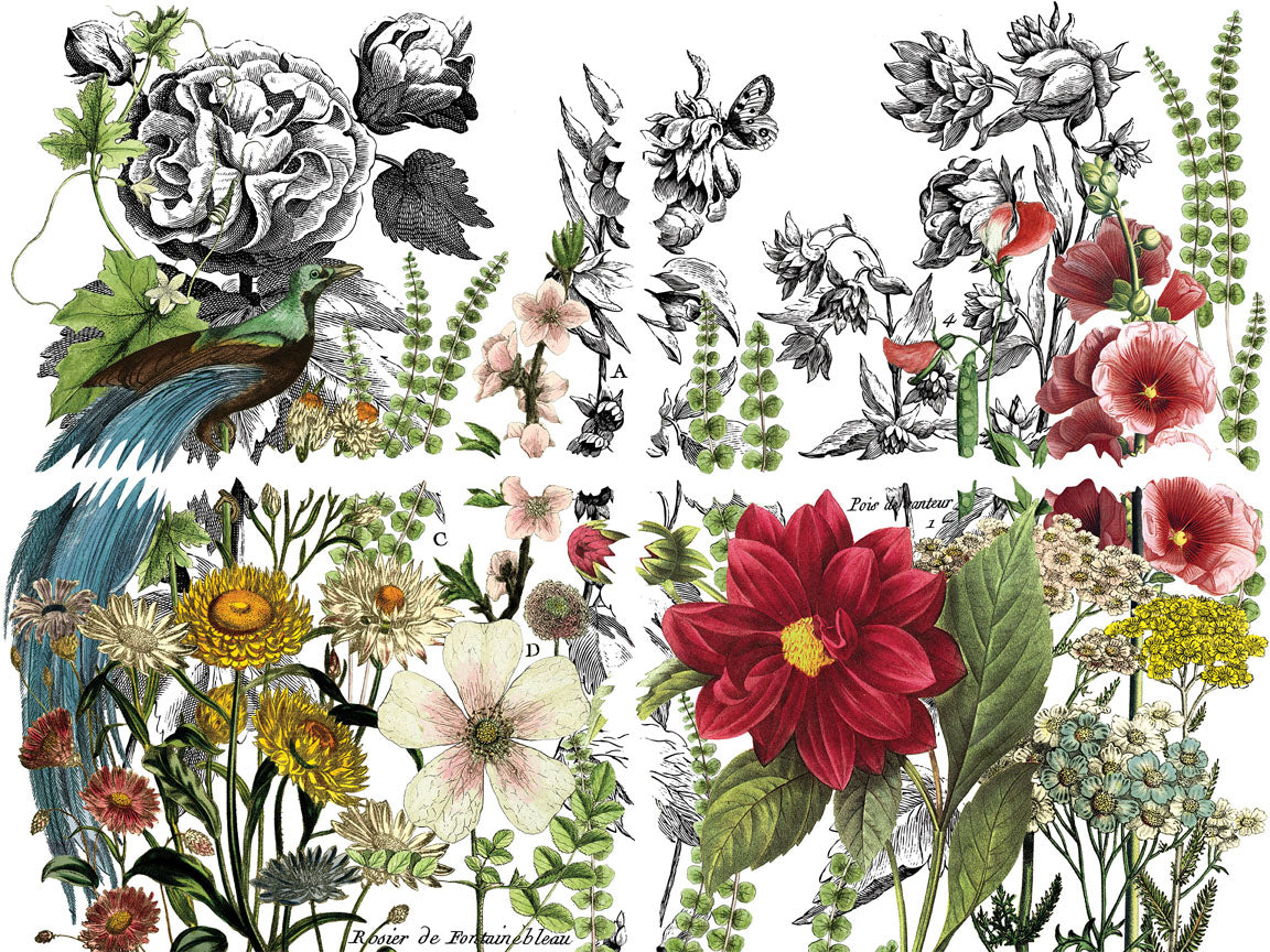 Midnight Garden - IOD Transfer