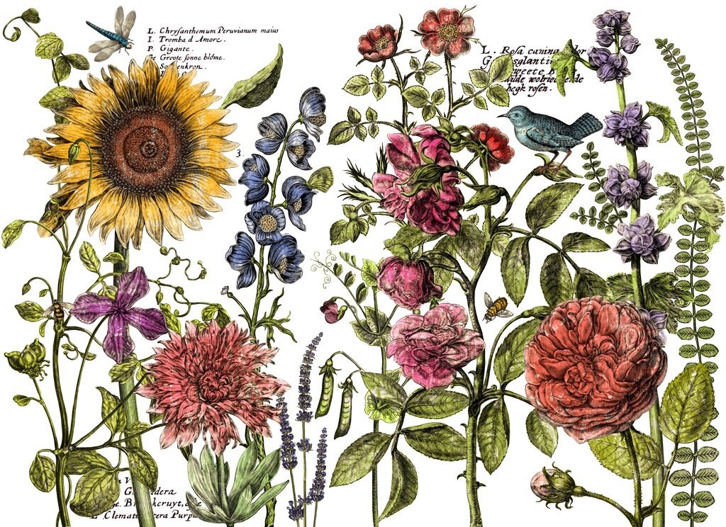 Botanist’s Journal - IOD Transfer image 2