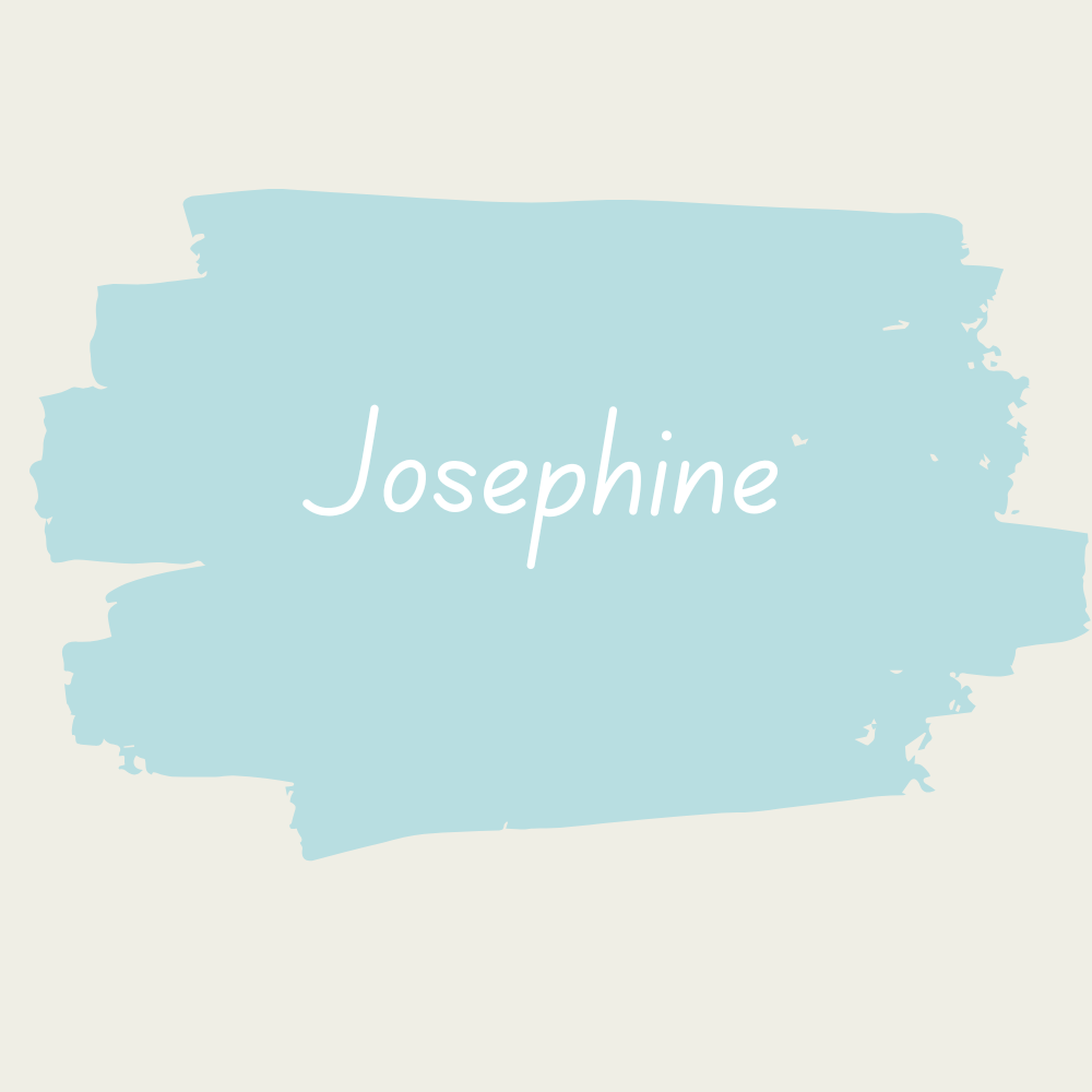 Miss Lillian's NO WAX Chock Paint - Josephine