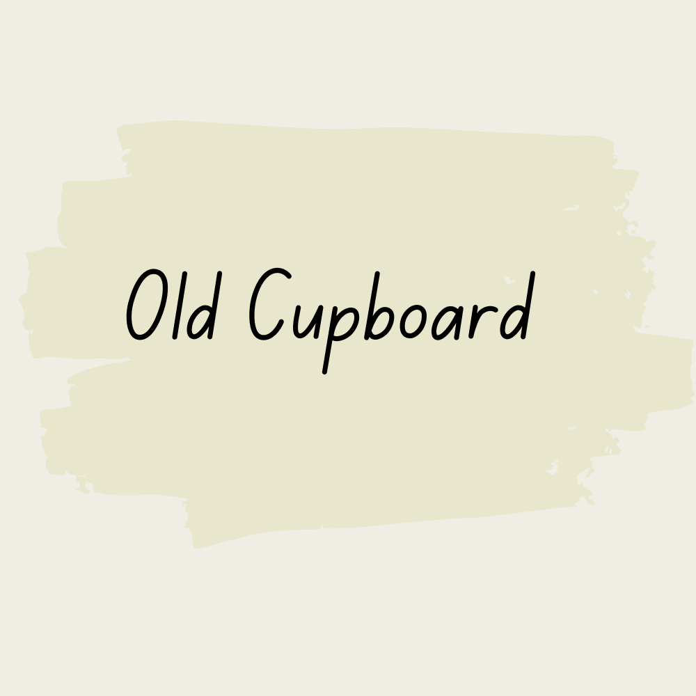 ULTIMATE Cabinet Paint - Old Cupboard