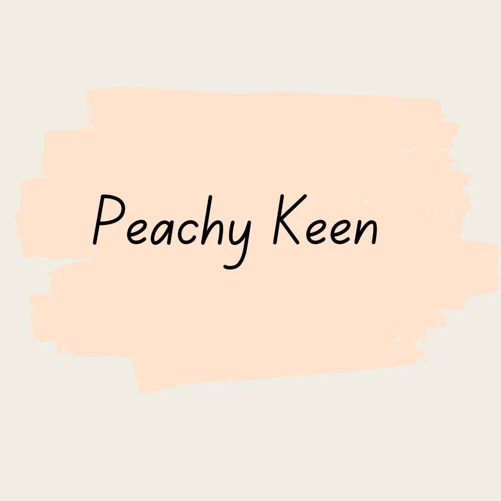 Miss Lillian's NO WAX Chock Paint - Peachy Keen