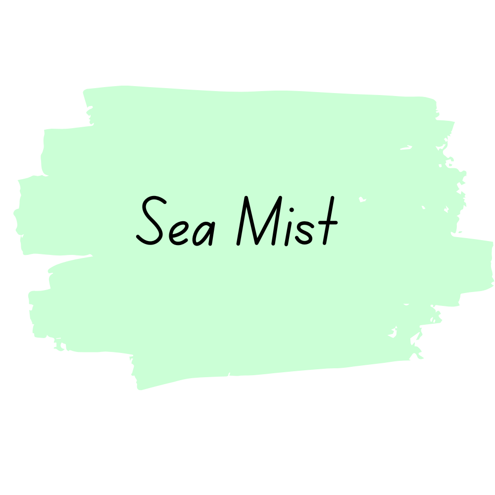 Miss Lillian's NO WAX Chock Paint - Sea Mist