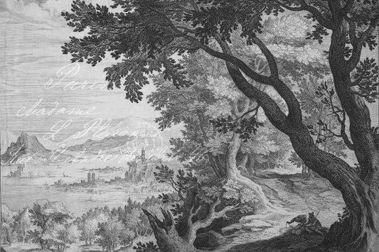 Etched Countryside - Roycycled Decoupage image 0
