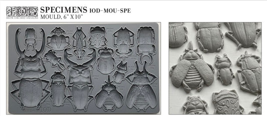 Specimens IOD Moulds  image 0