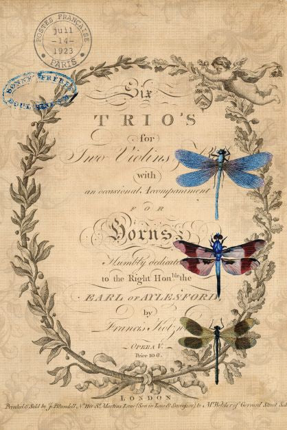 Dragonflies - Roycycled Decoupage image 0
