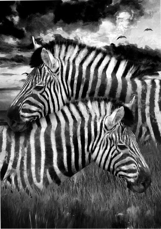 Zebra - Mint by Michelle Decoupage image 0