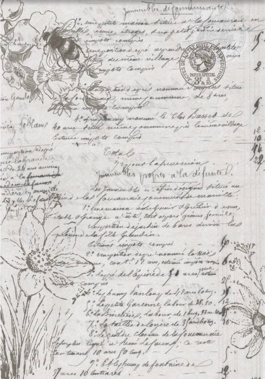 Natural history - Roycycled Decoupage image 0