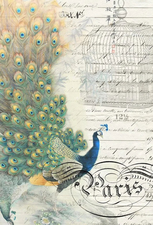 Peacock Ephemera - Roycycled Decoupage image 0