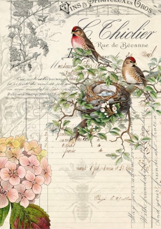 Bird Ephemera - Roycycled Decoupage image 0