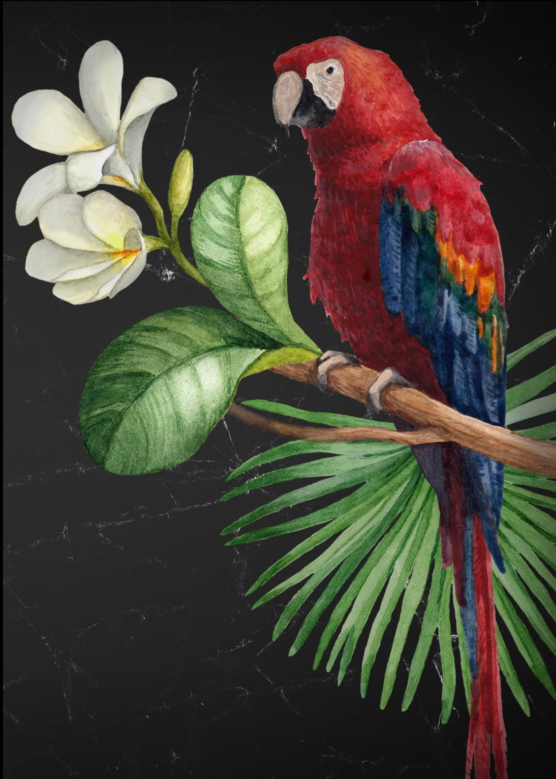 Parrot  Decoupage (Mint By Michelle)  image 0