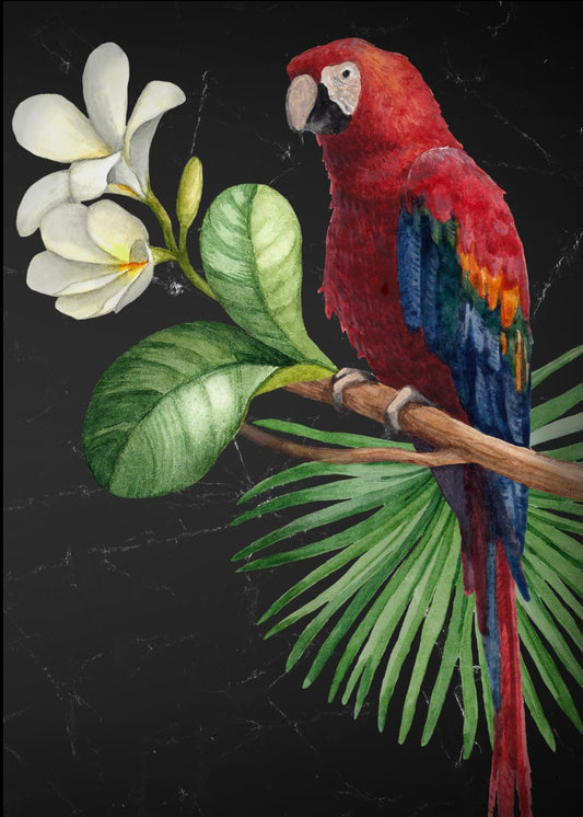 Parrot  Decoupage (Mint By Michelle)  image 0