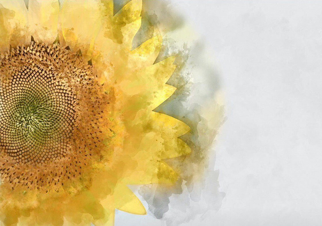Sunflower - Mint by Michelle Decoupage image 0