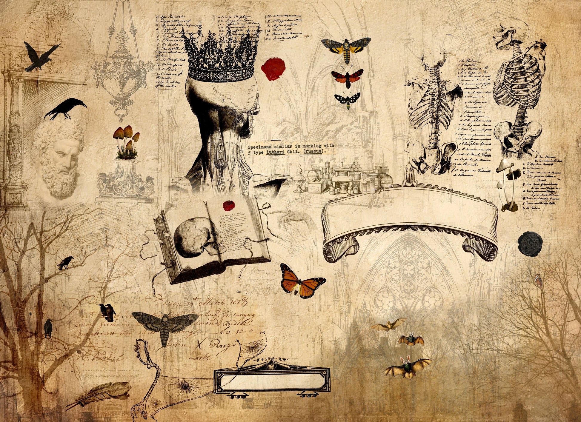 Dark Academia - Roycycled Decoupage image 0