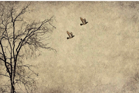 Flying Birds - Mint by Michelle Decoupage image 0