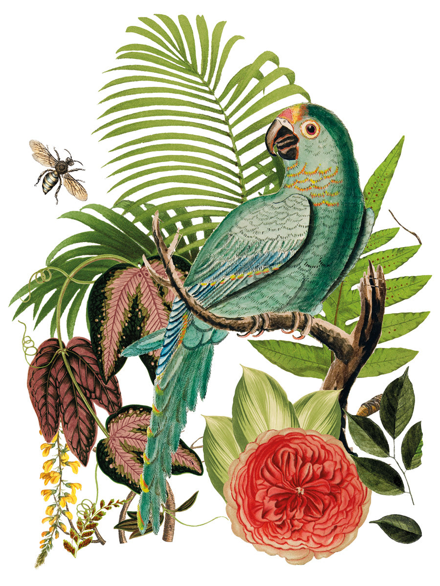 Bungalow -  IOD Decor Transfer