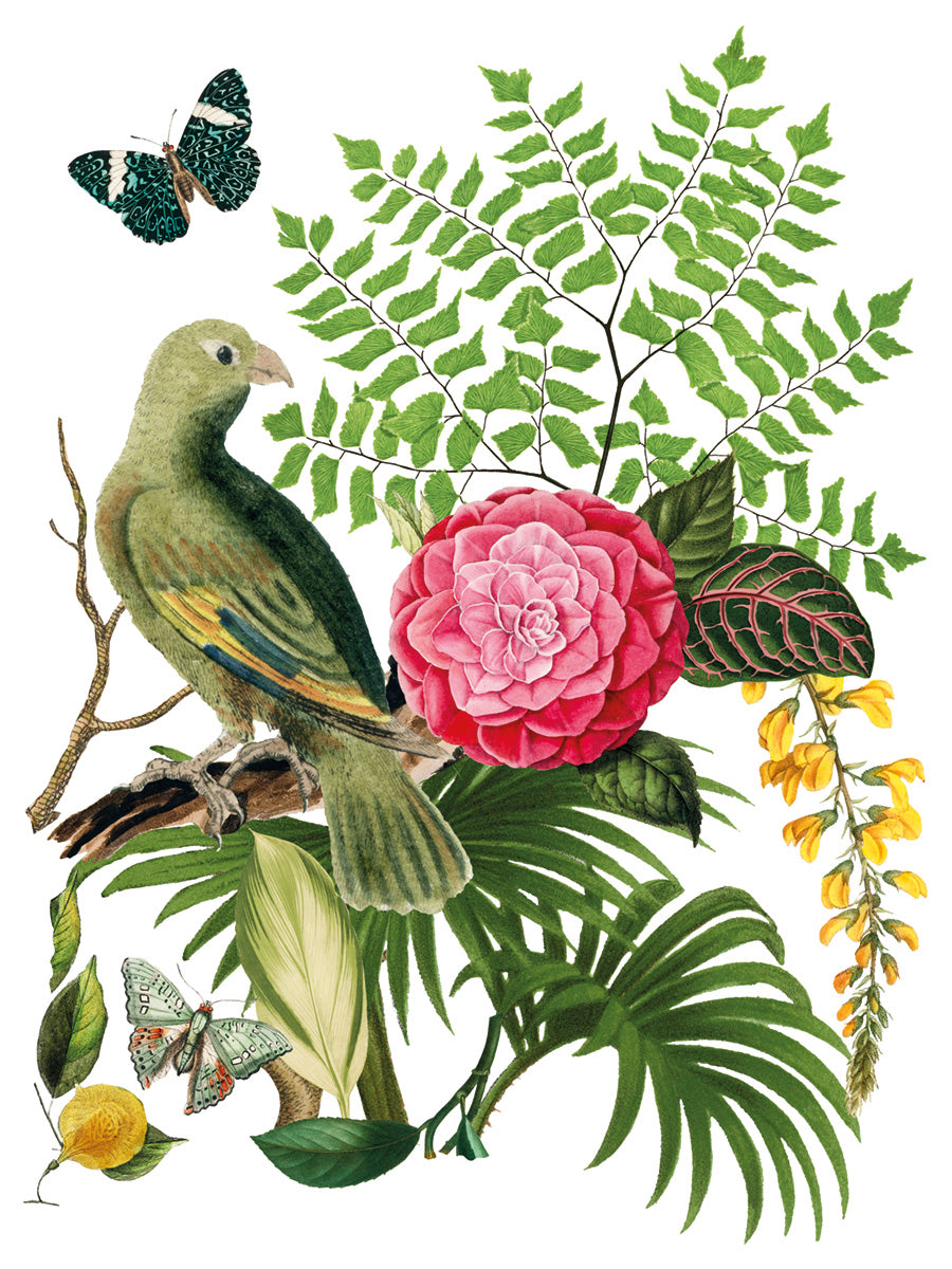 Bungalow -  IOD Decor Transfer