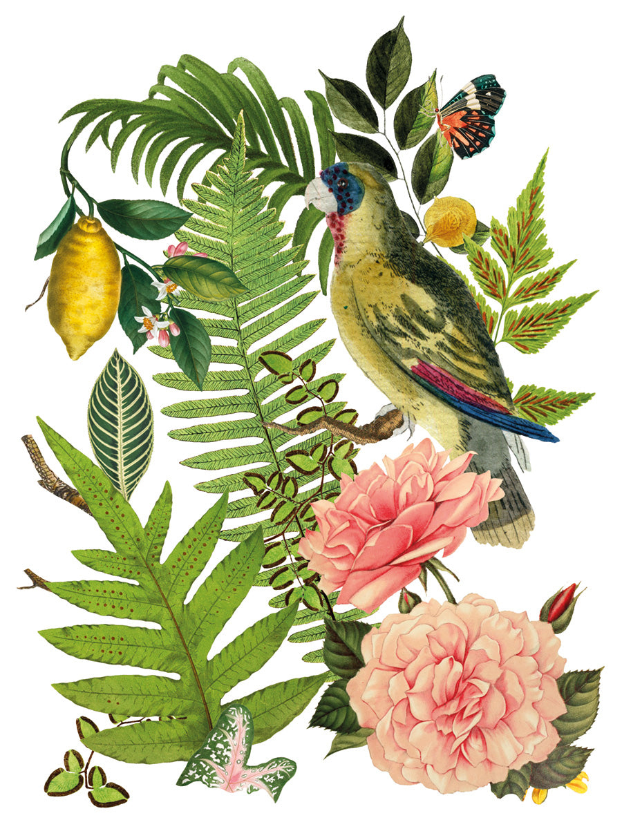 Bungalow -  IOD Decor Transfer