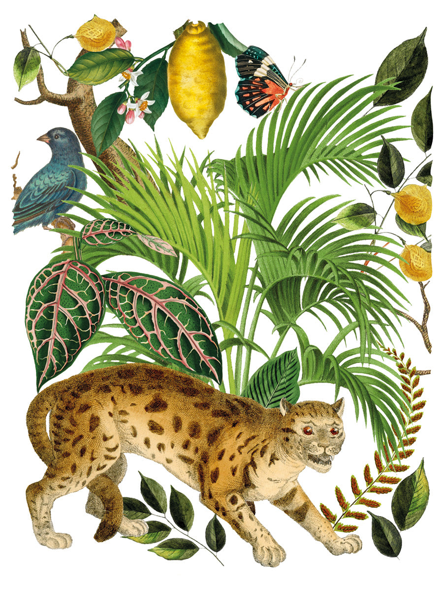 Bungalow -  IOD Decor Transfer