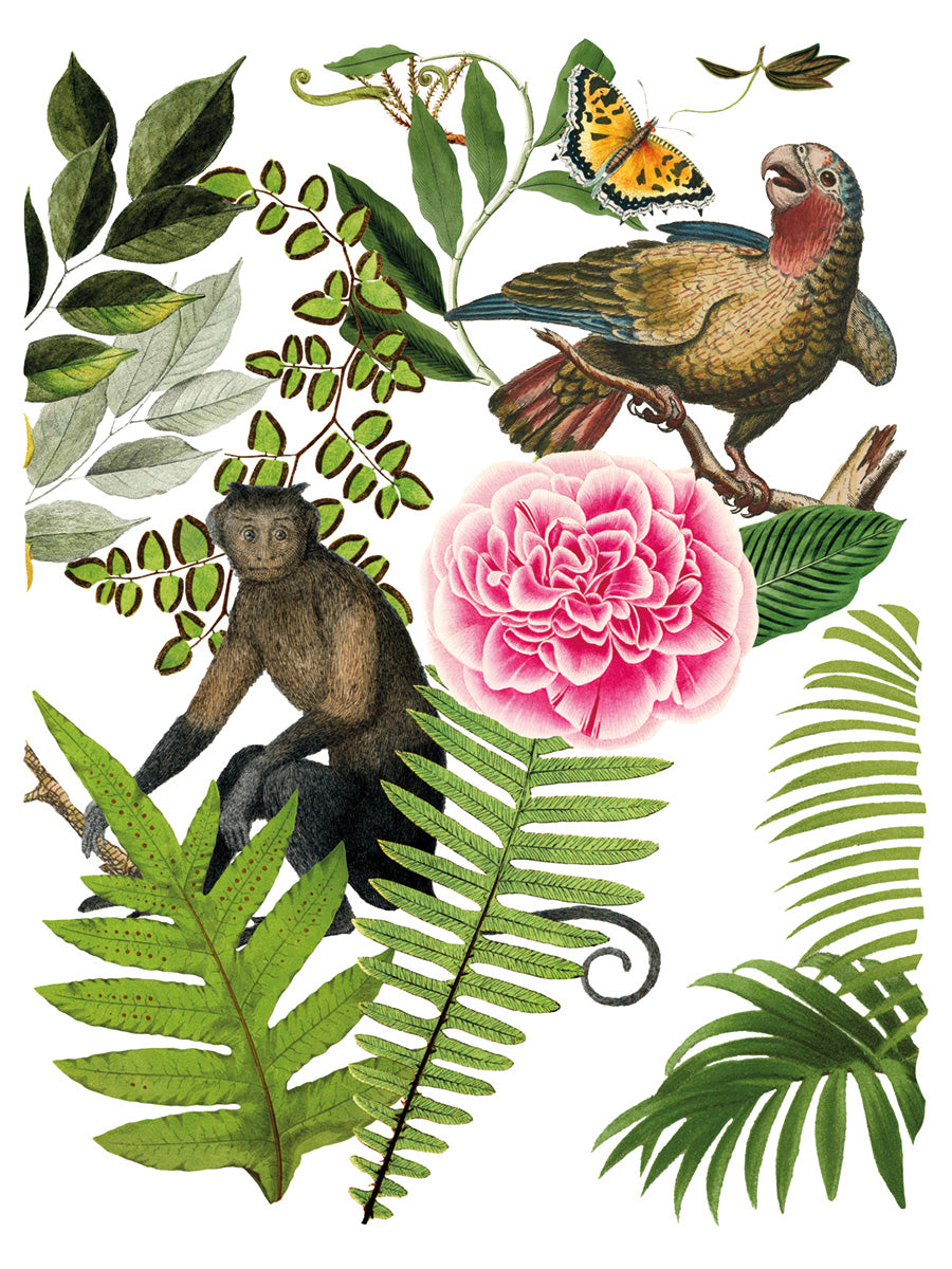 Bungalow -  IOD Decor Transfer
