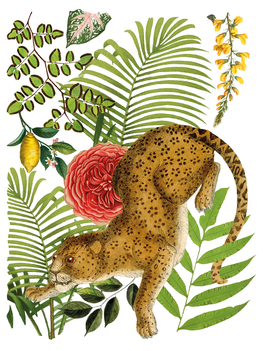 Bungalow -  IOD Decor Transfer